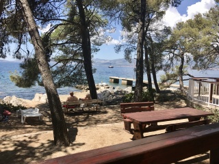 Our table for the afternoon, water just past the pines.