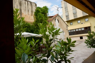 A green courtyard, somebody's quiet corner.
