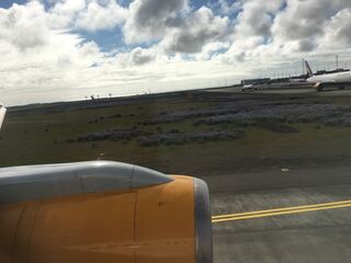 Keflavík out the window, lupines and all. Layover number two.