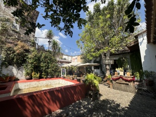 El Local,  we recommend