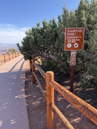 Late afternoon constitutional