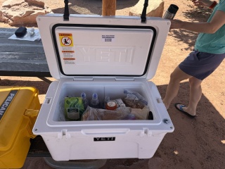 The fridge