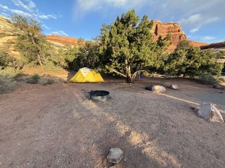 Waking up in site 15