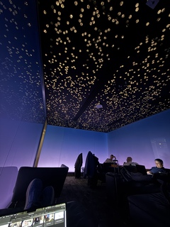 The most excellent chaise lounge room