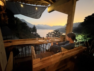 This view