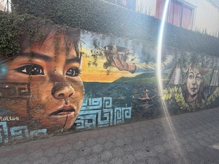 Love the murals