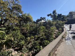 A family coffee farm to the left