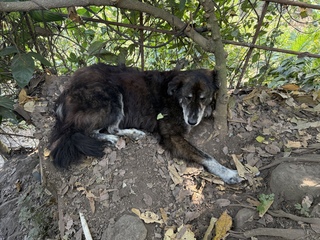 And Bear (his real name has lost us)