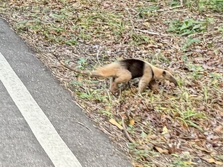 …we found this guy!