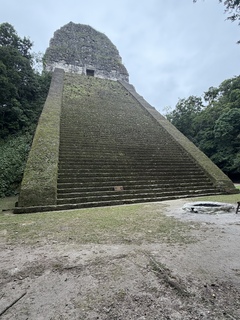 Temple V