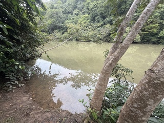 A little muddy for an intentional swim