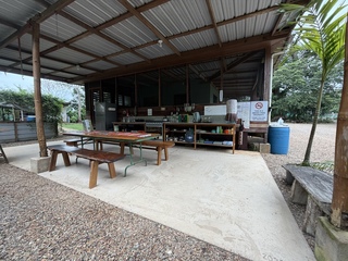 The kitchen