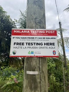 Maybe she’s got malaria
