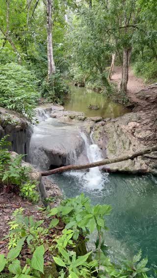 Shower Falls
