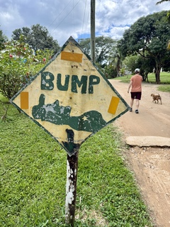 Very specific bumps