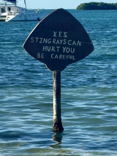 Noted