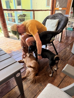 The dogs of Turtleback Hideaway