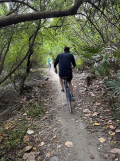 Tim chasing Theresa through the mangrove swamp