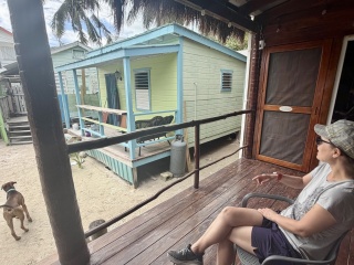 Theresa, eyeing another color scheme for our home
