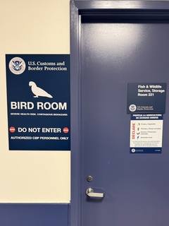 Don’t worry about us, sounds terrifying