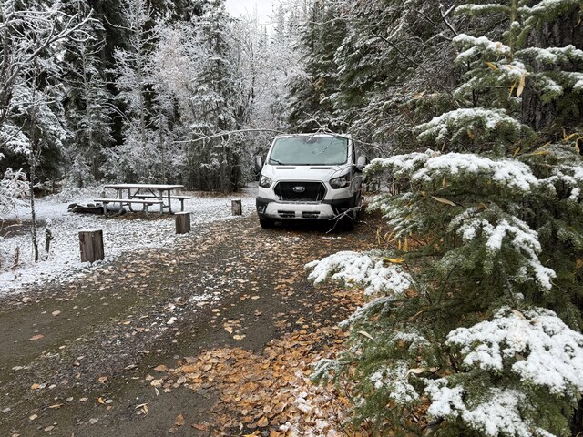 Morning, just outside of Tok