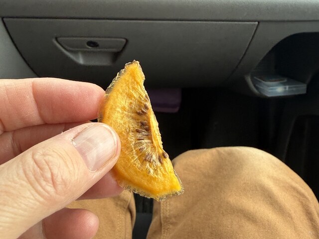 Dehydrated kiwi. Very tasty
